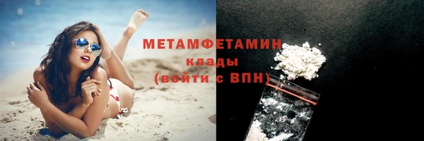 прущие грибы Новокубанск