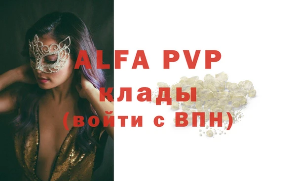 прущие грибы Новокубанск