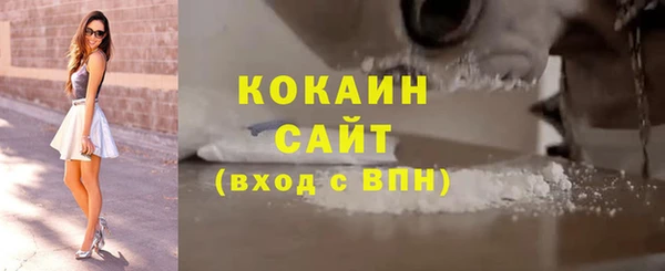 прущие грибы Новокубанск