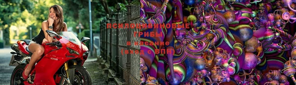 винт Нягань