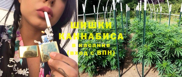 прущие грибы Новокубанск