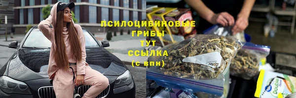 винт Нягань