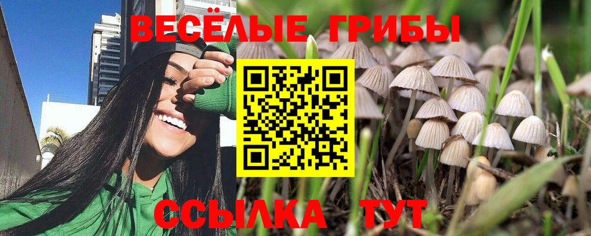 наркота  Галлюциногенные грибы мицелий  Вход с VPN  Галлюциногенные грибы Cubensis  Ирбит 