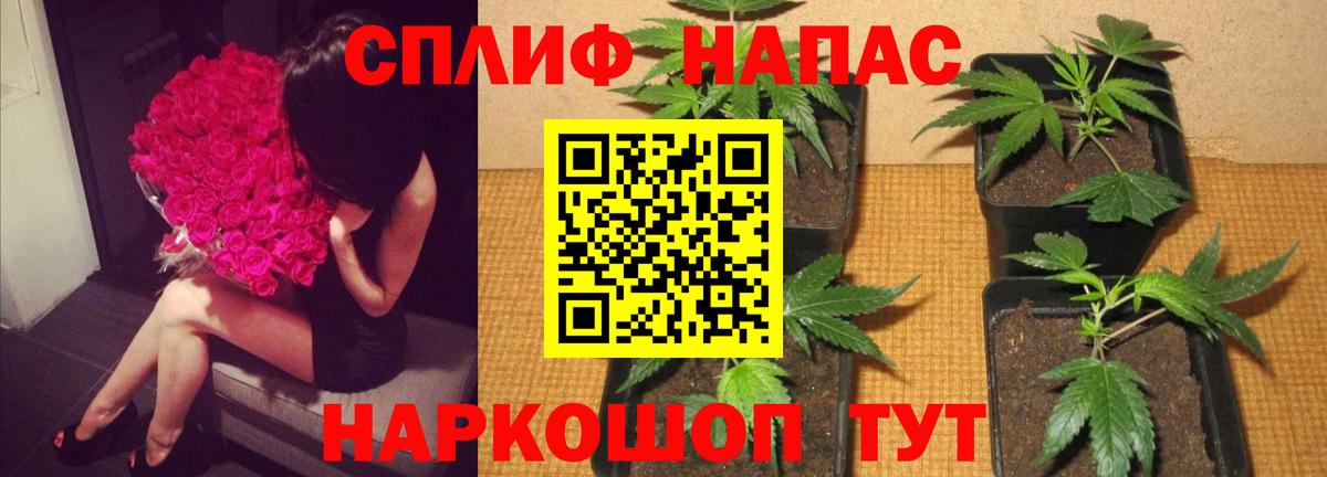 Шишки марихуана White Widow Ирбит